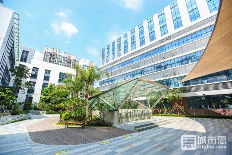 深圳南山國際學(xué)校