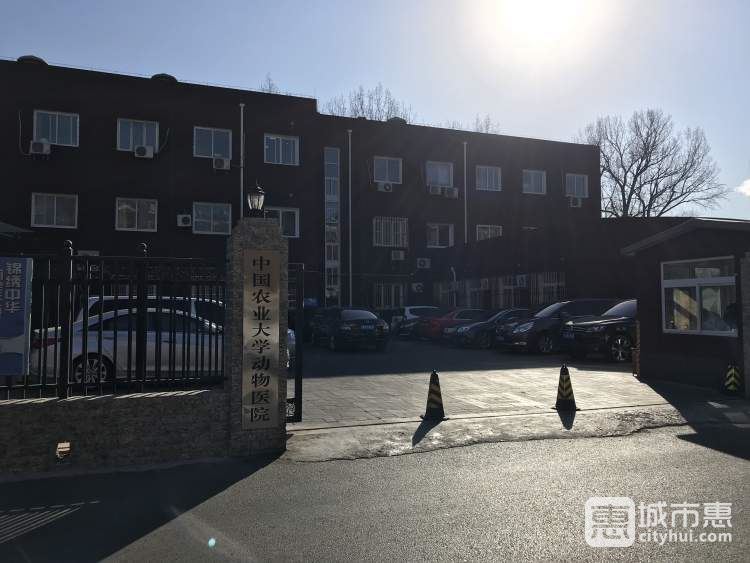 中國農(nóng)業(yè)大學(xué)動物醫(yī)院