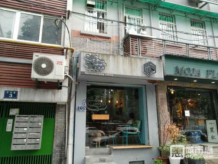 Photosynthesis Coffee/光合作用咖啡