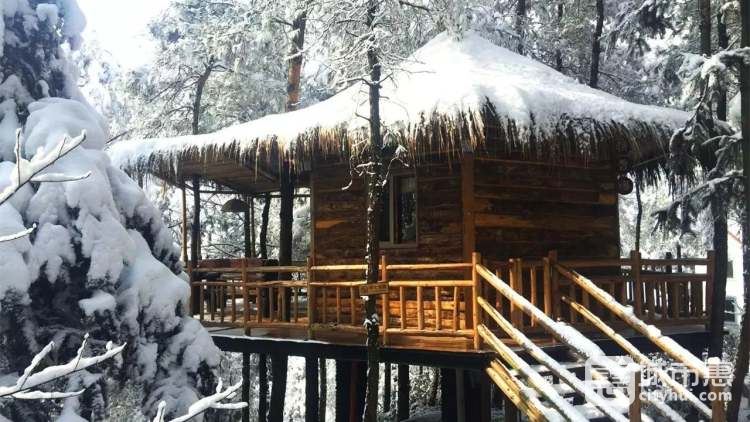 大來(lái)山樹(shù)屋